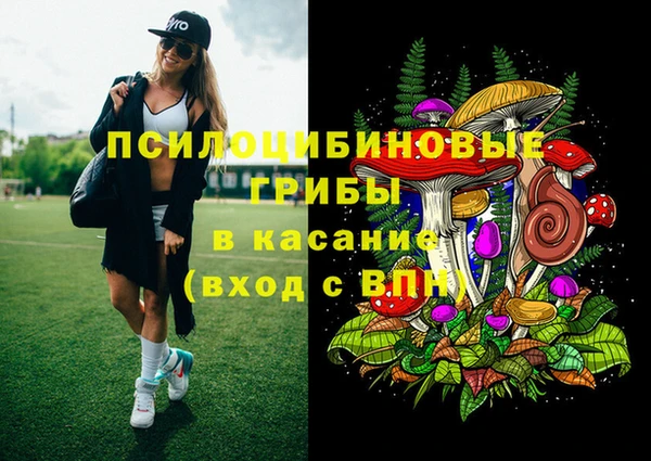 тгк Надым
