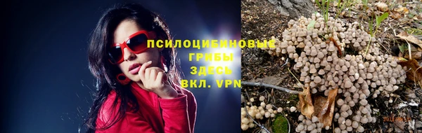 тгк Надым