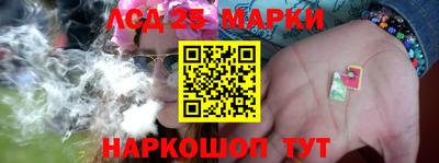 прущие грибы Апшеронск