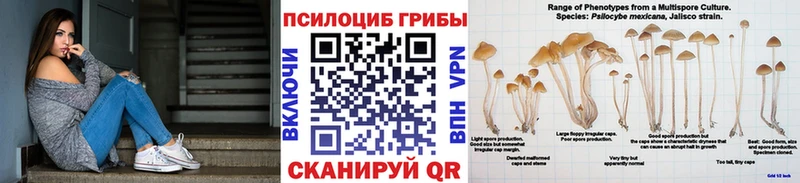 Галлюциногенные грибы GOLDEN TEACHER  ОМГ ОМГ онион  Ачинск 