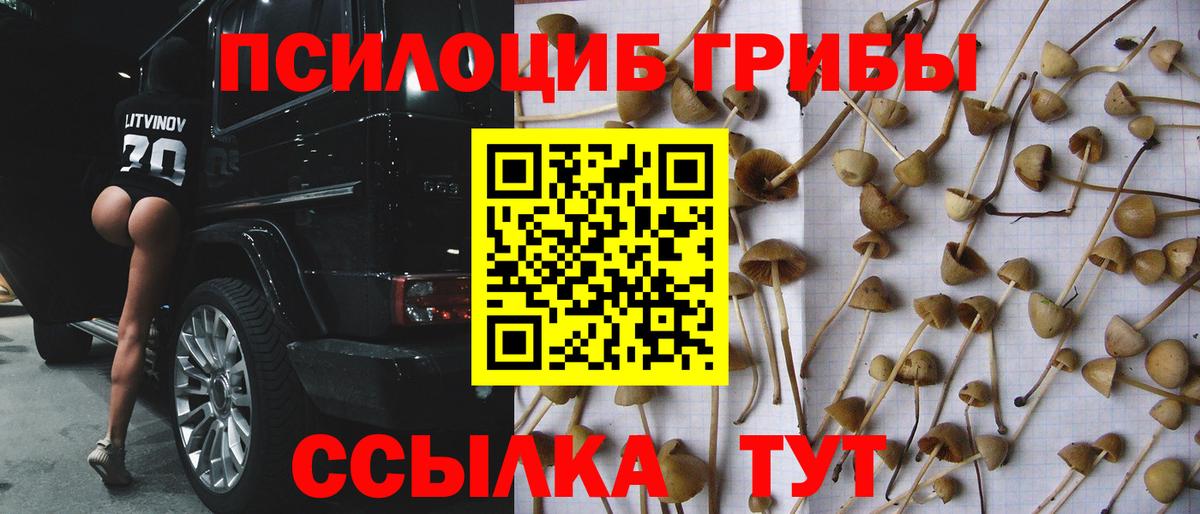 Ачинск  Галлюциногенные грибы прущие грибы  Галлюциногенные грибы прущие грибы  Вход с VPN 