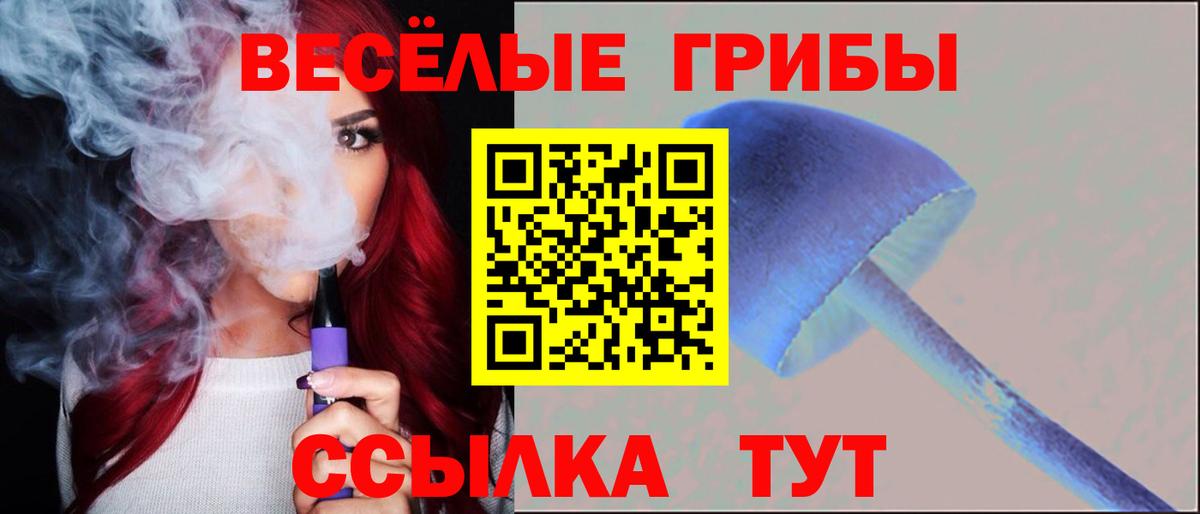 Псилоцибиновые грибы Cubensis  Псилоцибиновые грибы Psilocybine cubensis  Ачинск 